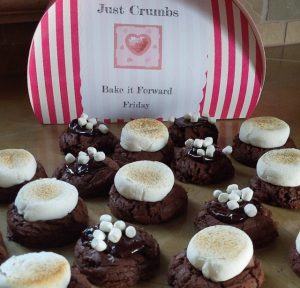 Hot Chocolate Cookies with Roasted Marshmallows Just Crumbs Blog by Suzie Durigon