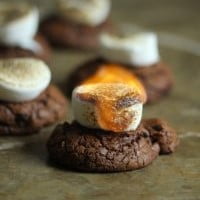 Hot Chocolate Cookies with Roasted Marshmallows