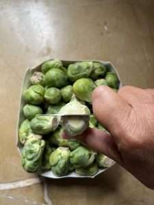 how to prep brussel sprouts