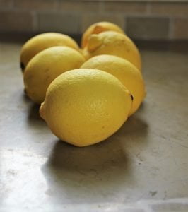 Limone: Italian Curd Filled Lemon Cookies Just Crumbs Blog by Suzie Durigon