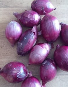 Kitchen Basics: What to Do with and Abundance of Onions Just Crumbs Blog by Suzie Durigon