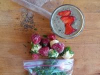 Smoothie Packs: Breakfast in a Pinch Just Crumbs Blog by Suzie Duringon