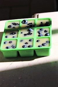 Kitchen Hacks: How to Use Leftover Juice for Flavoured Water Cubes Just Crumbs Blog by Suzie Durigon
