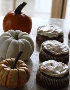 12 Interesting Ways to Make the Most of Fall Just Crumbs Blog by Suzie Durigon