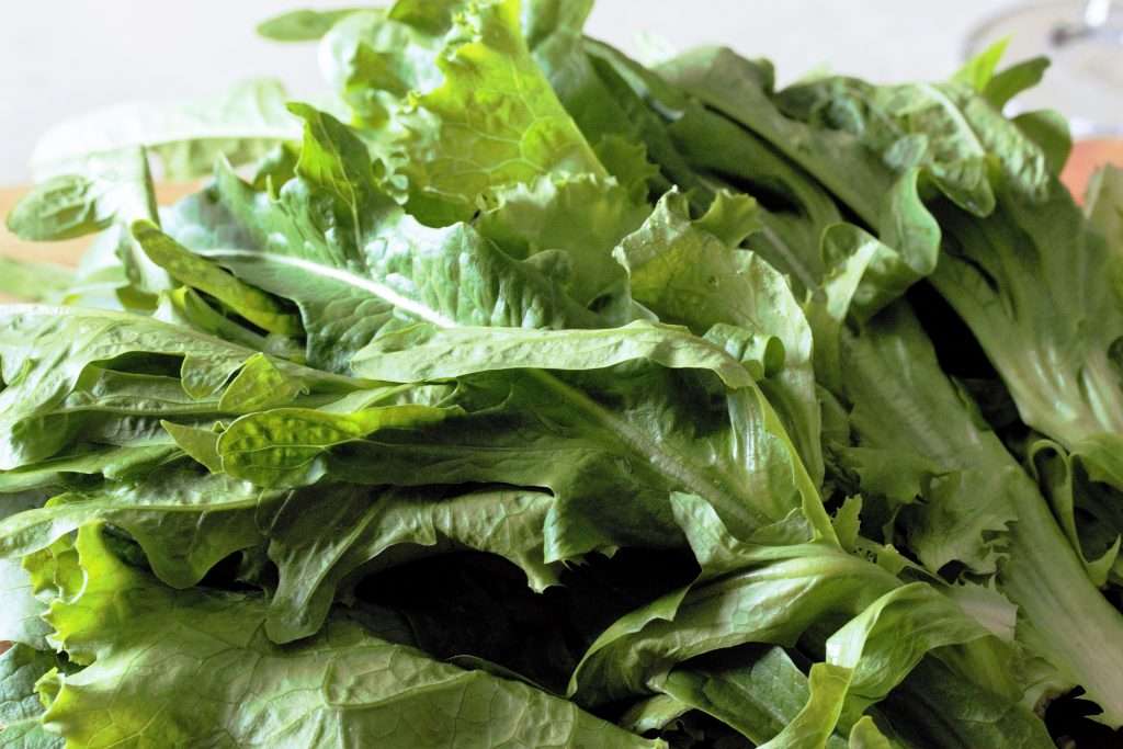 7 Simple Monday Meal Prep Habits for Healthier Summer Eating Just Crumbs by Suzie Durigon