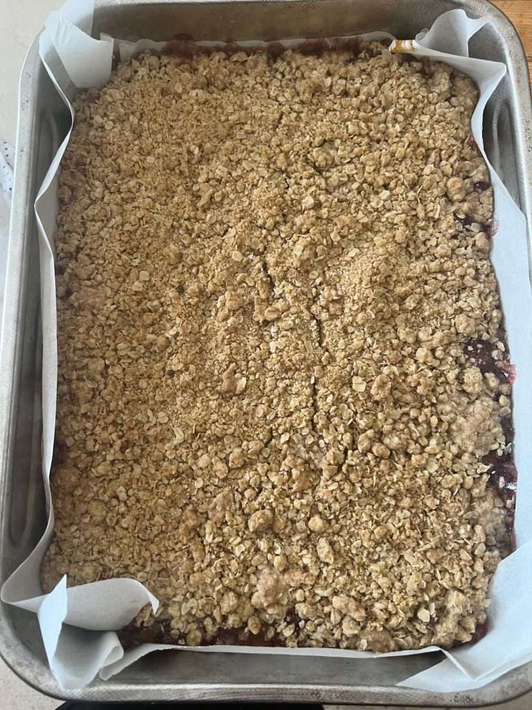 oatmeal rhubarb squares 