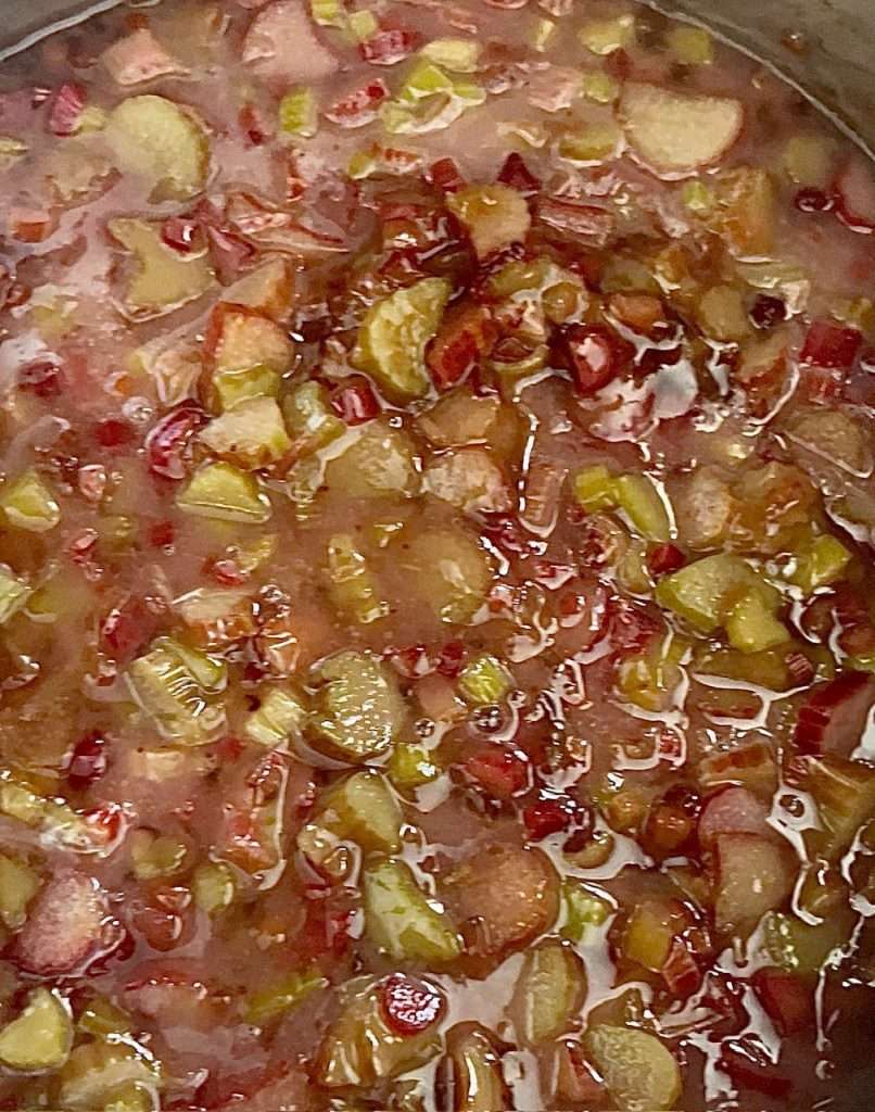 oatmeal rhubarb squares