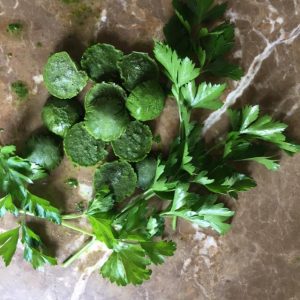 Secret to a Quick Meal: Parsley Puree Just Crumbs Blog by Suzie Duringon