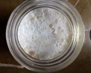 How to Make the Creamiest (and Easiest) Homemade Coconut Yogurt Just Crumbs by Suzie Durigon