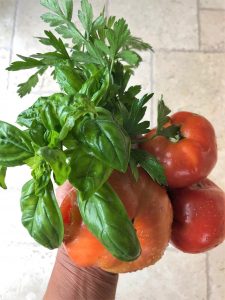 Fresh No-Cook Tomato Sauce Just Crumbs Blog by Suzie Durigon