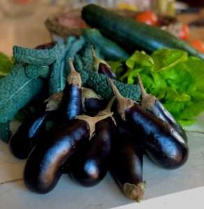 10 Things to Do with Roasted Eggplant