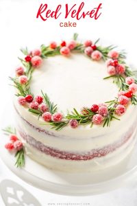 Chocolate Pine Trees: How to Decorate a Holiday Cake Just Crumbs Blog by Suzie Durigon