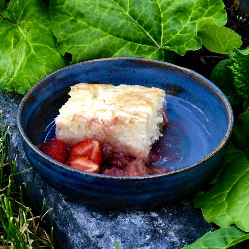 Strawberry Rhubarb Self Saucing Cake Just Crumbs Blog by Suzie Durigon