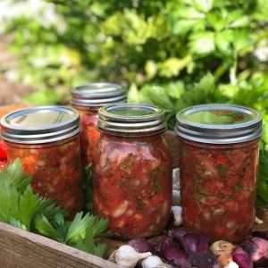 tomato starter jars