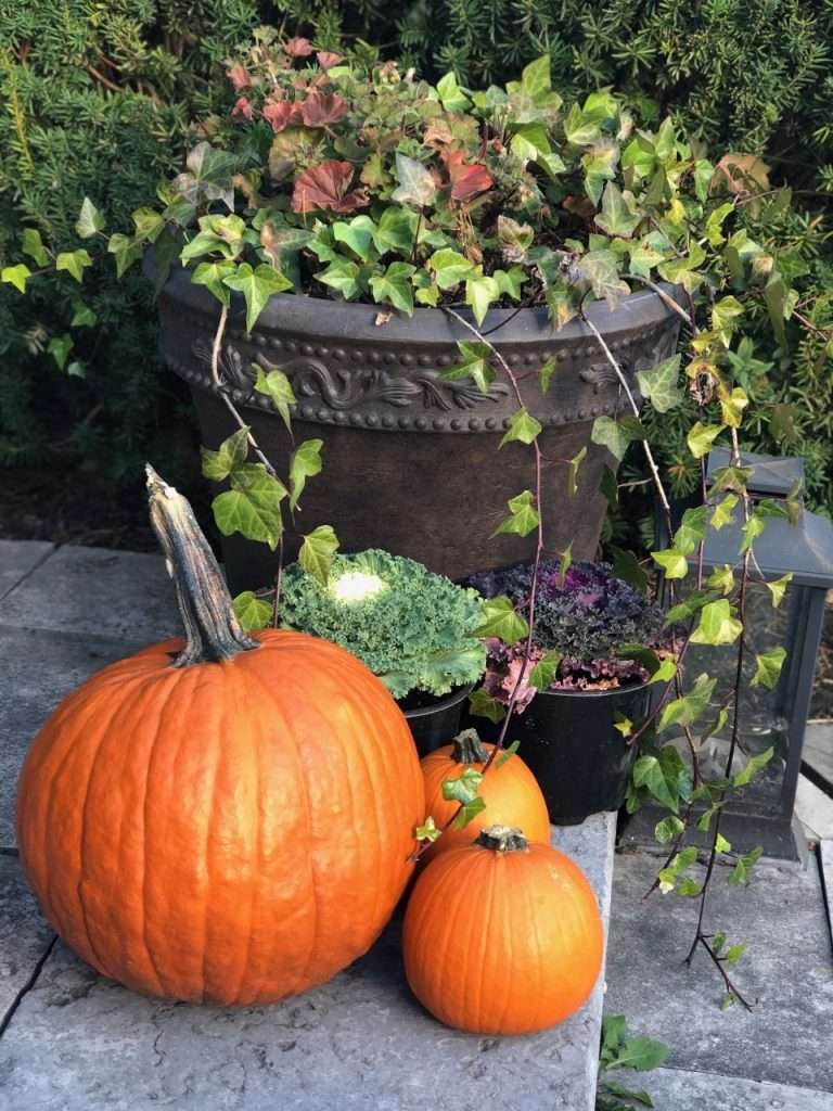 How to Make Homemade Pumpkin Puree