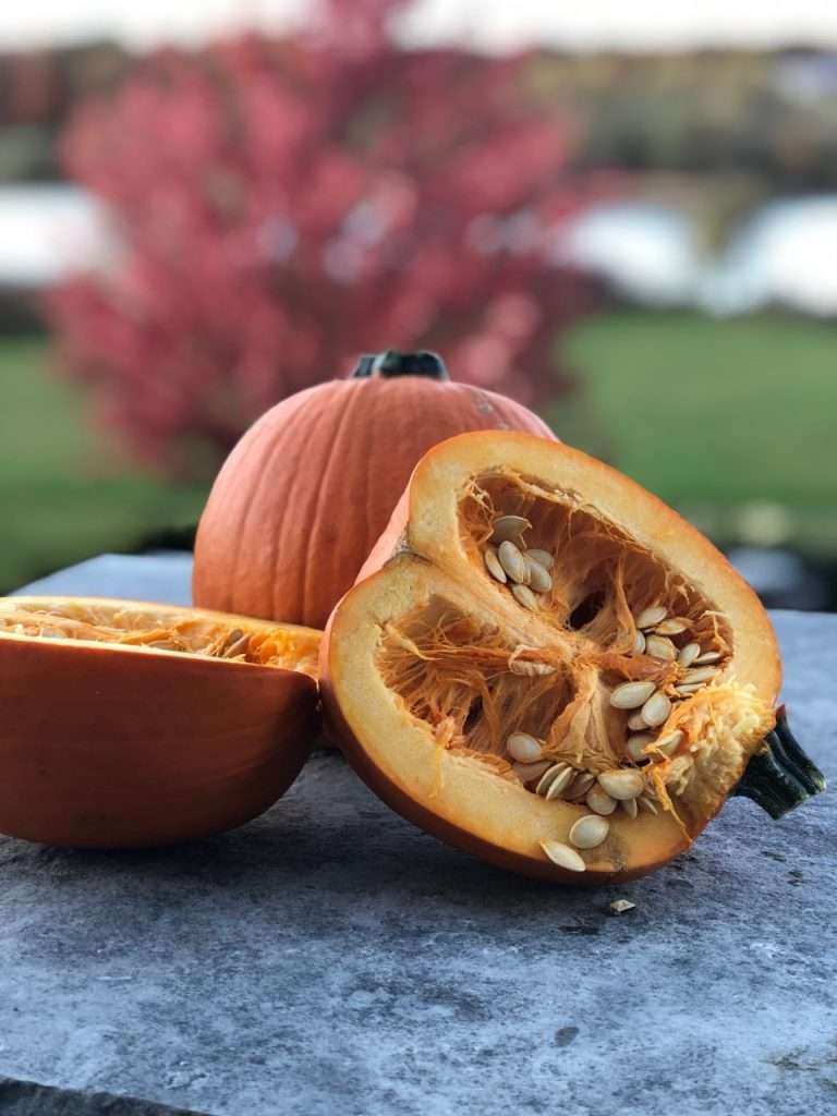 How to Make Homemade Pumpkin Puree