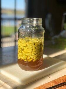 How to Make Pickled Spruce Tips