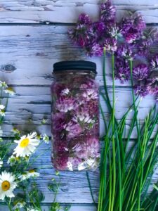 How To Make Chive Blossom Vinegar Just Crumbs Blog by Suzie Duringon