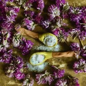 How to Make Chive Flower Salt how to make chive salt