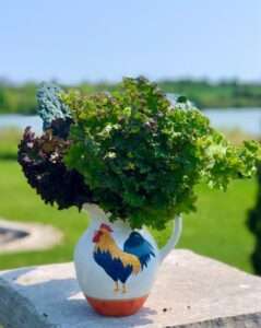 Things to do With All That Kale Things to do With All That Kale