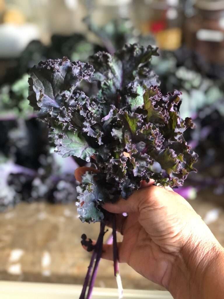 The Crispiest and Healthiest Kale Chips kale chips