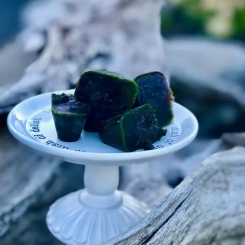 How to Not Hate Kale: Frozen Kale Cubes