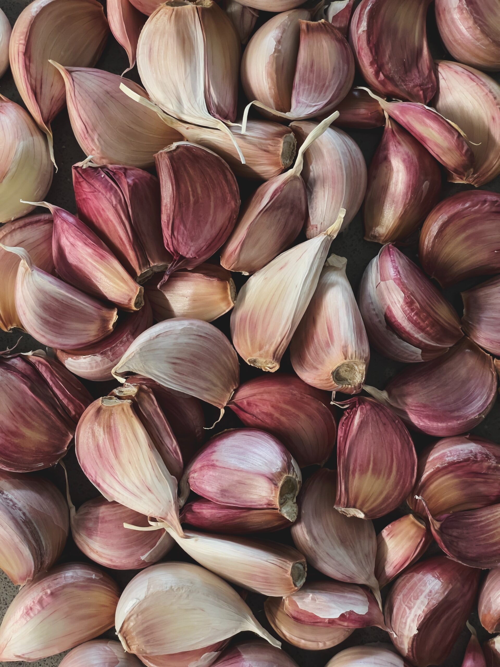 toum lebanese garlic paste
