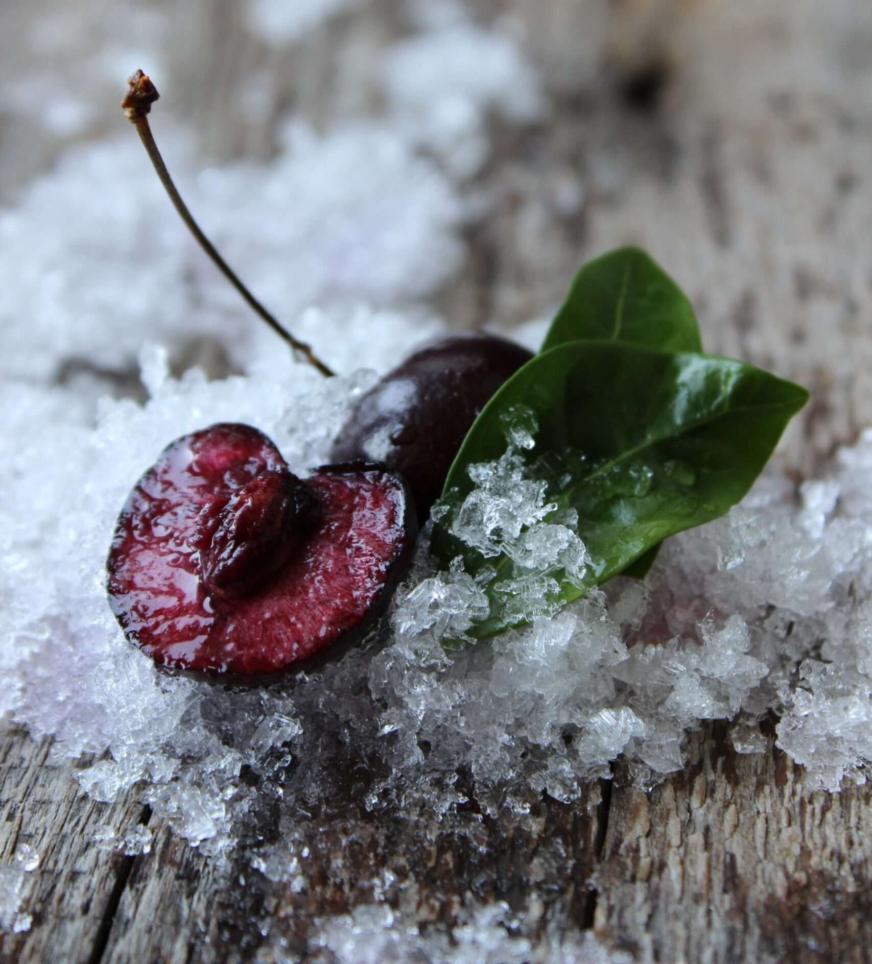 Freezing Food: 101 [How To Freeze Basically Everything]