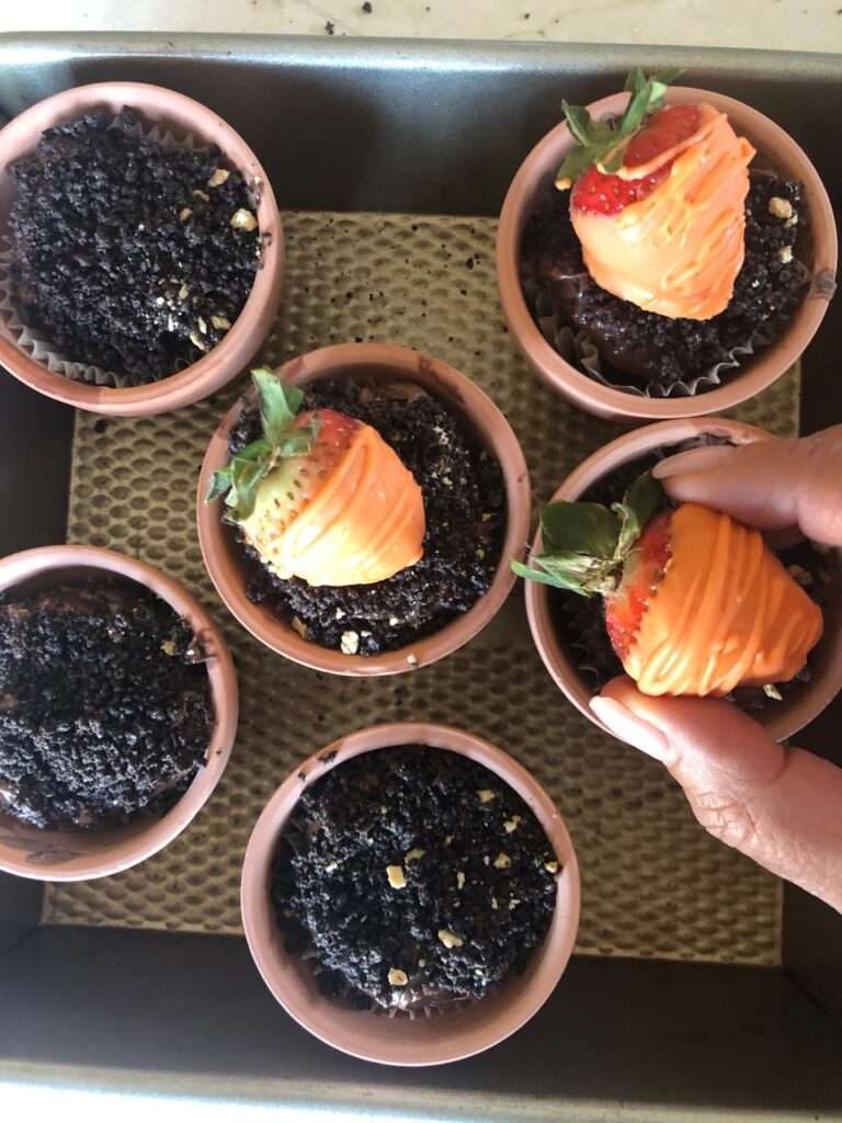 brownie carrot pots