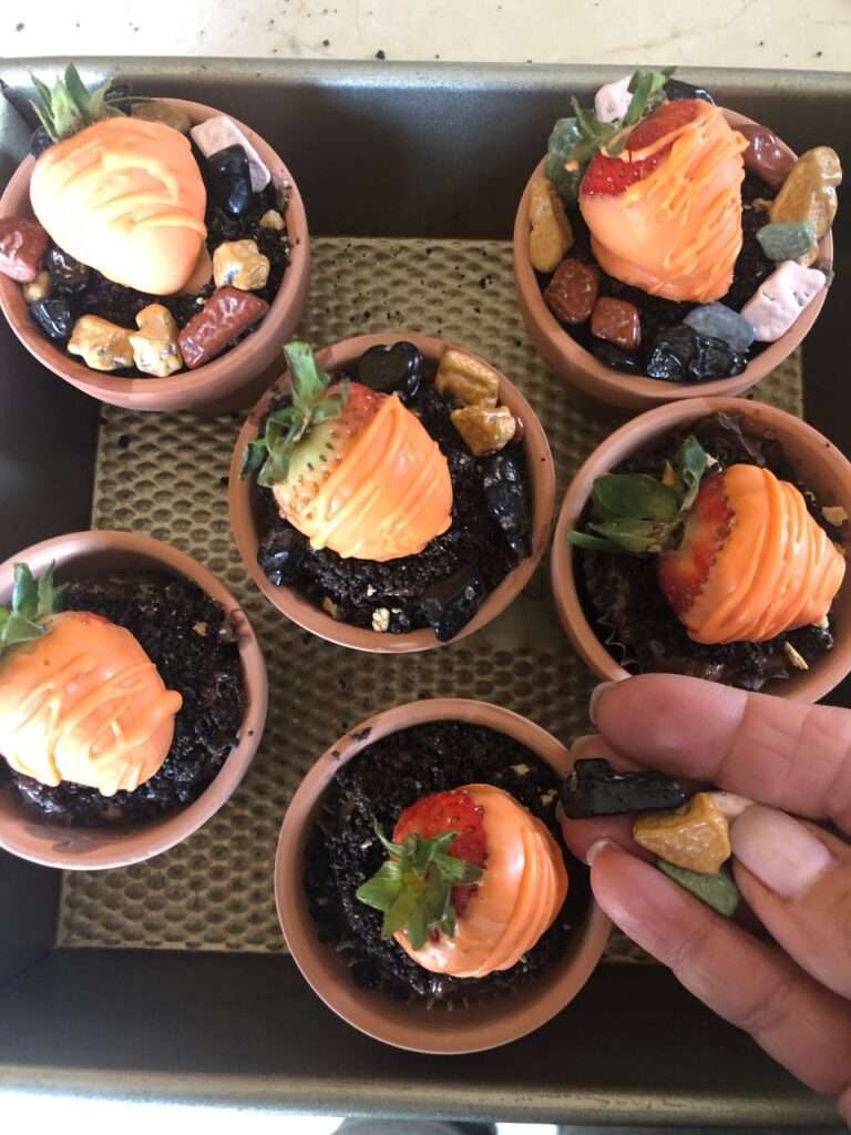 brownie carrot pots