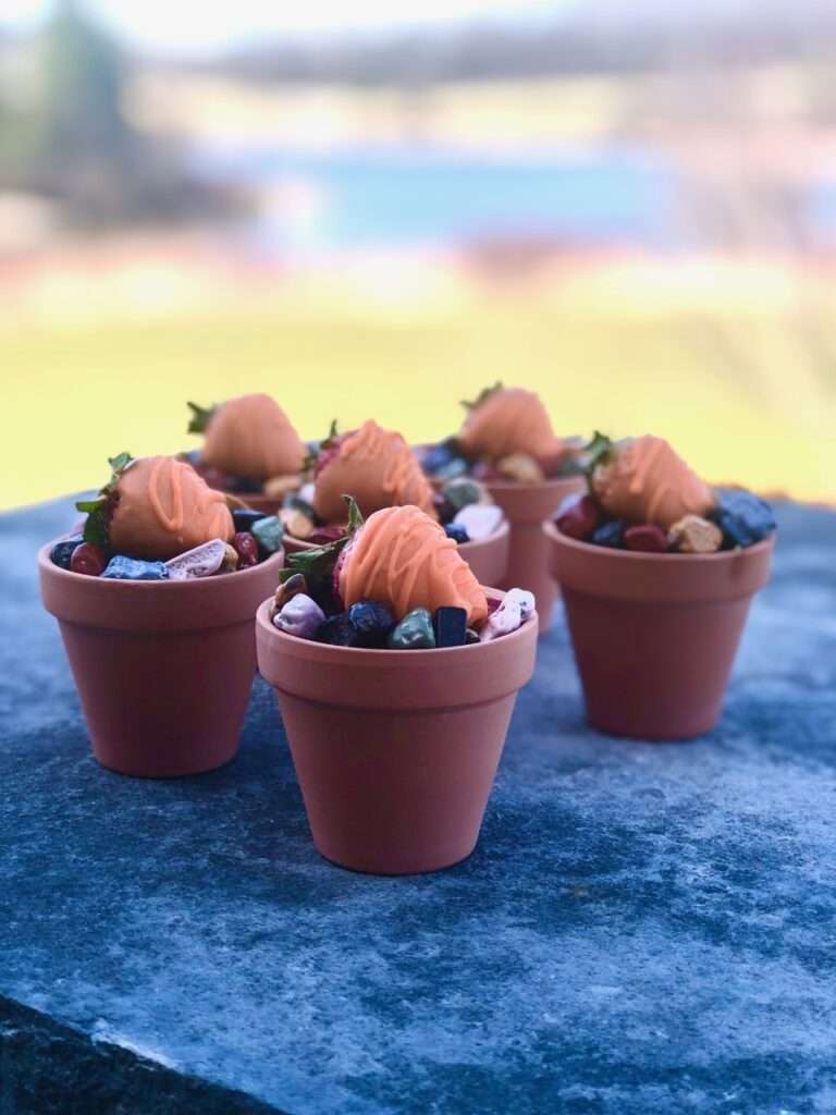 brownie carrot pots