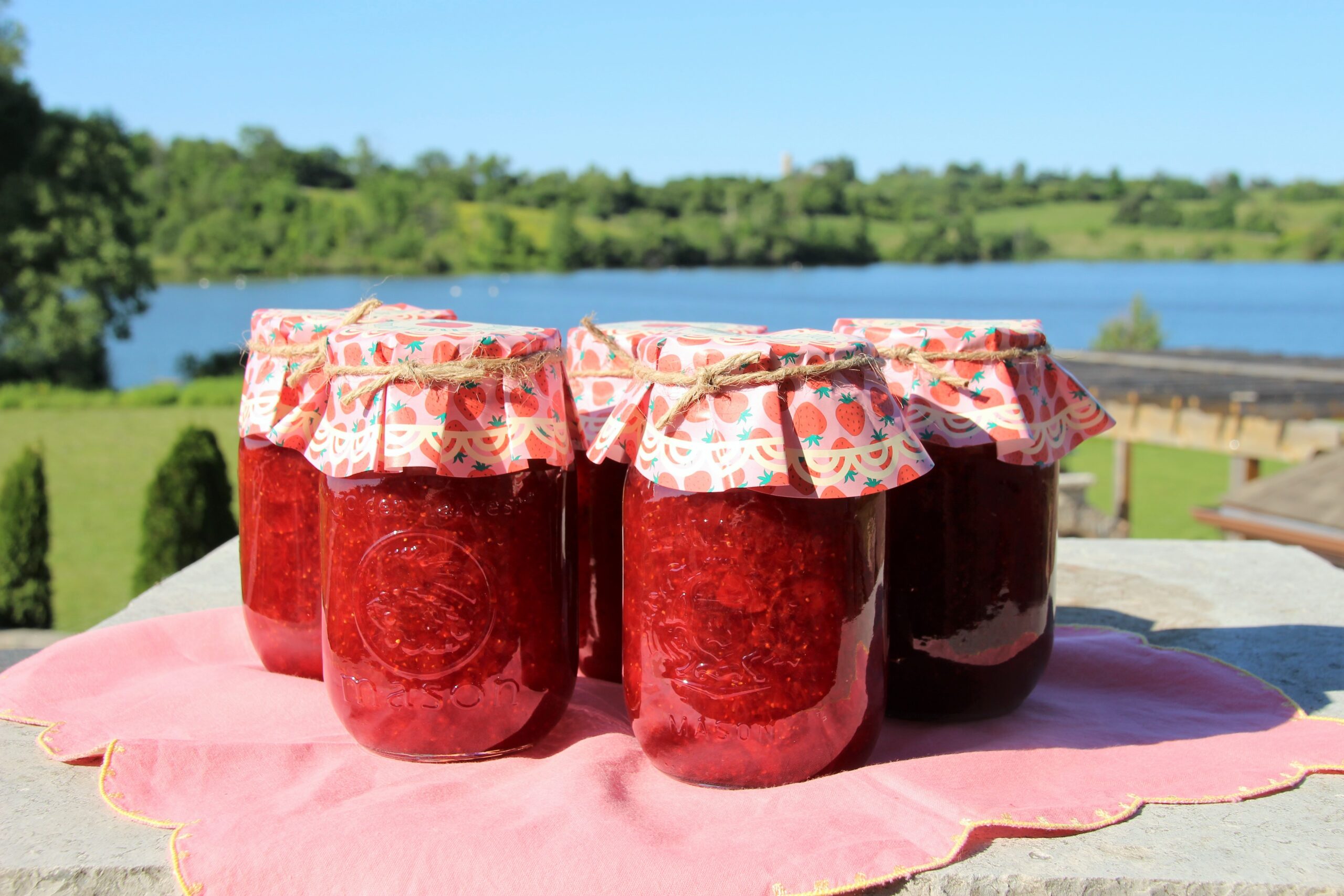 strawberry rhubarb honey jam