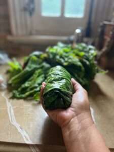 Easy Nutrient-Dense Low Carb Collard Wraps Just Crumbs by Suzie Durigon