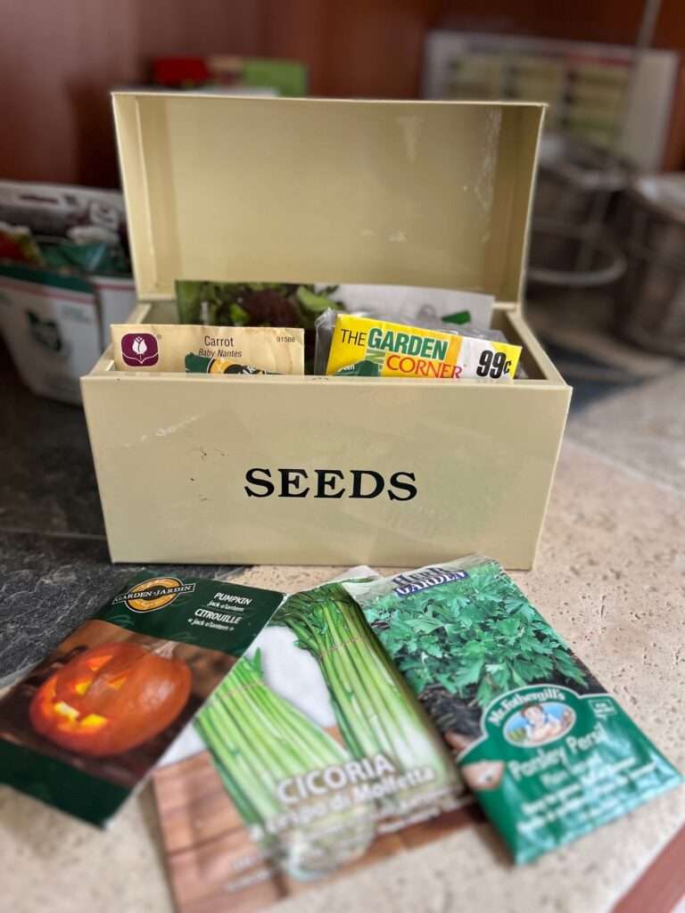 A Guide to Growing Tomatoes: From Seed to Harvest A Guide to Growing Tomatoes: From Seed to Harvest Just Crumbs by Suzie Durigon