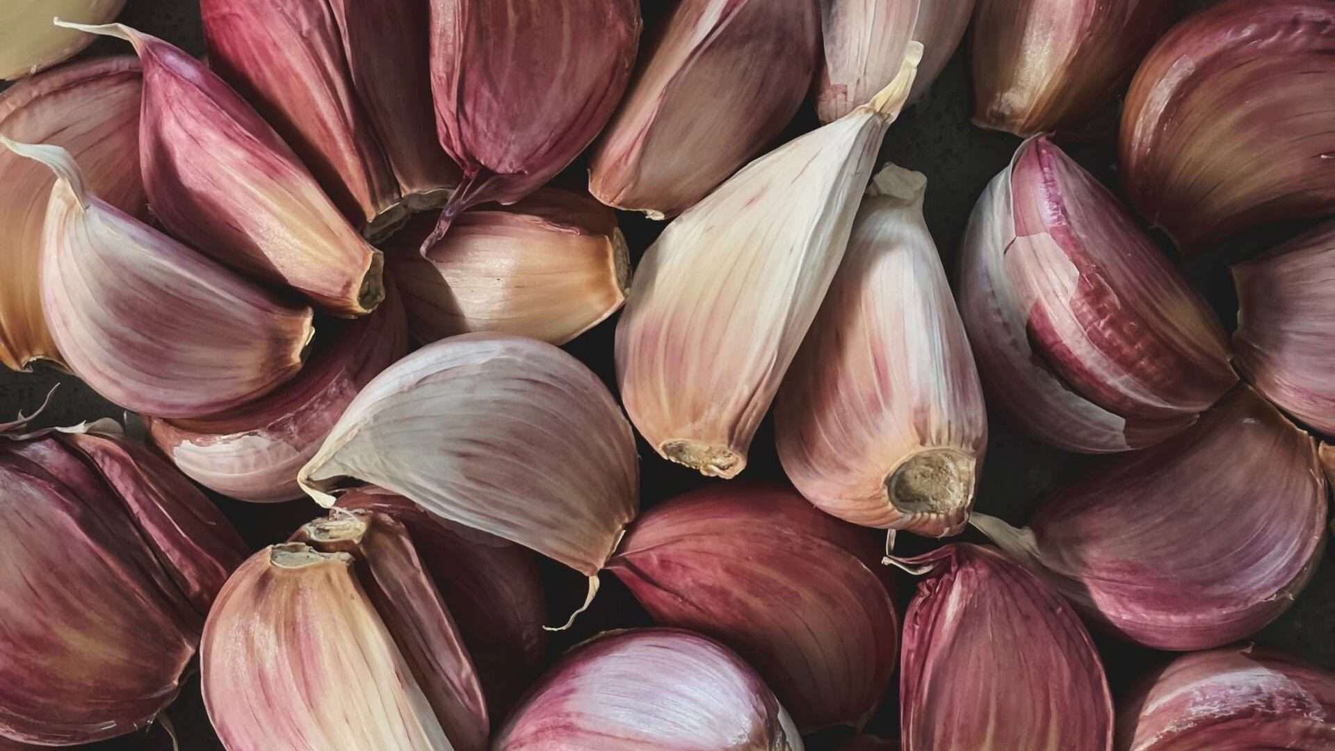 toum lebanese garlic paste
