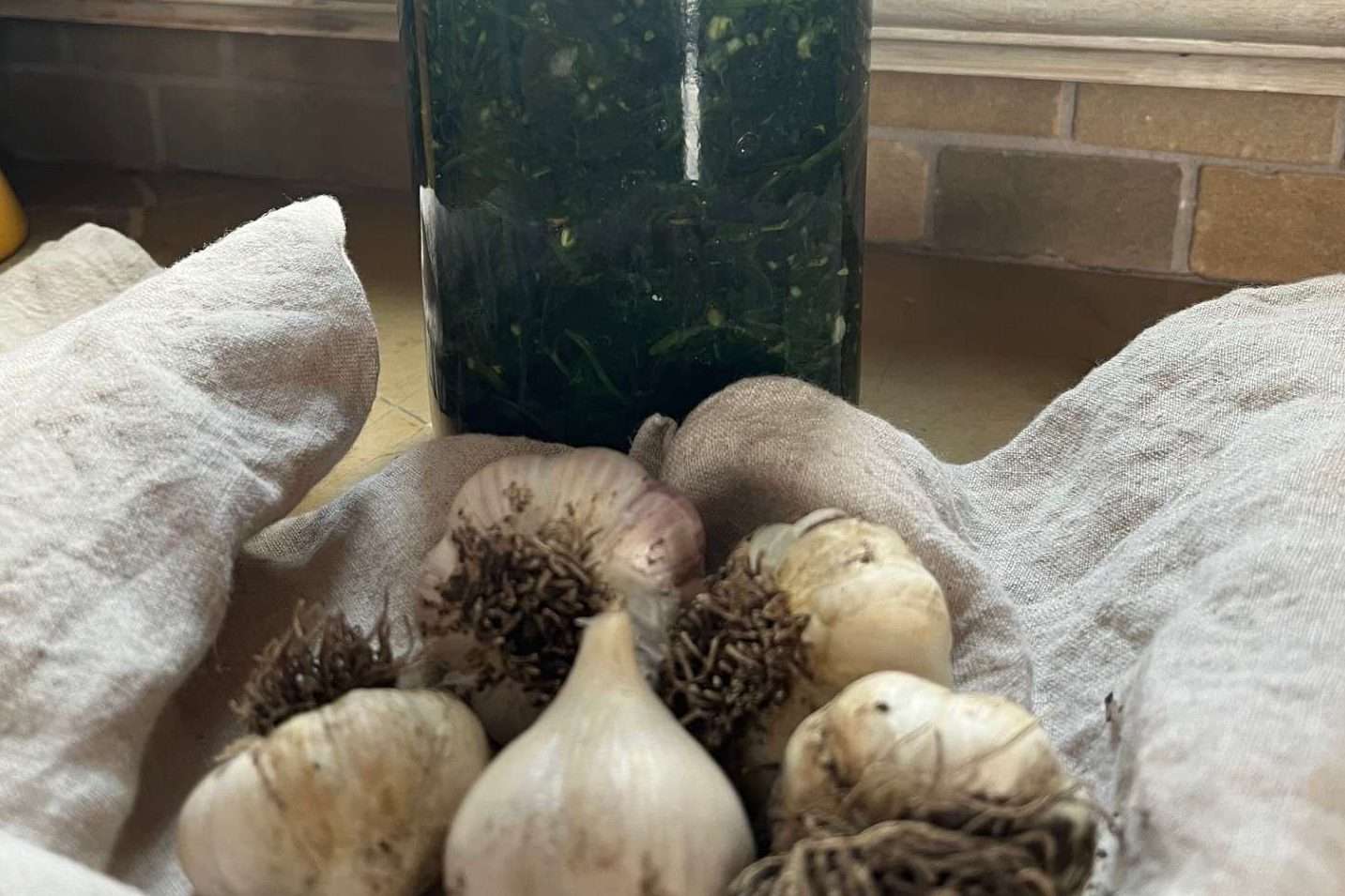 The Ultimate Guide to Garlic: How to Peel, Chop, Roast, and more Just Crumbs by Suzie Durigon